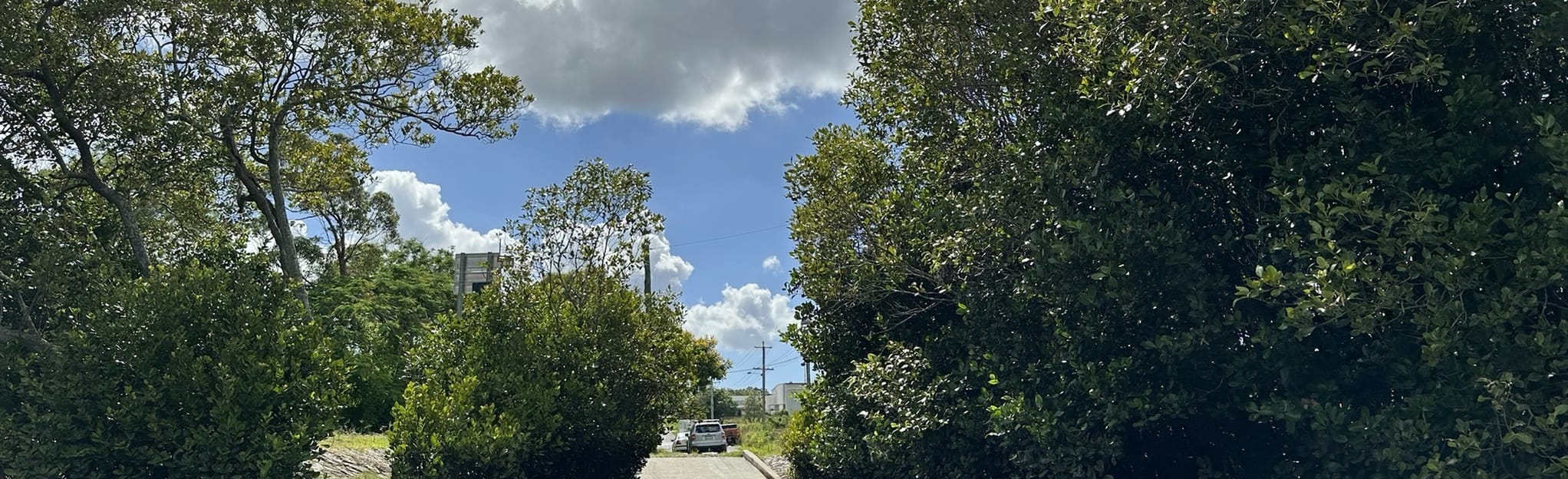 Lower Bulimba Creek Canoe Trail 3 photos Queensland, Australia