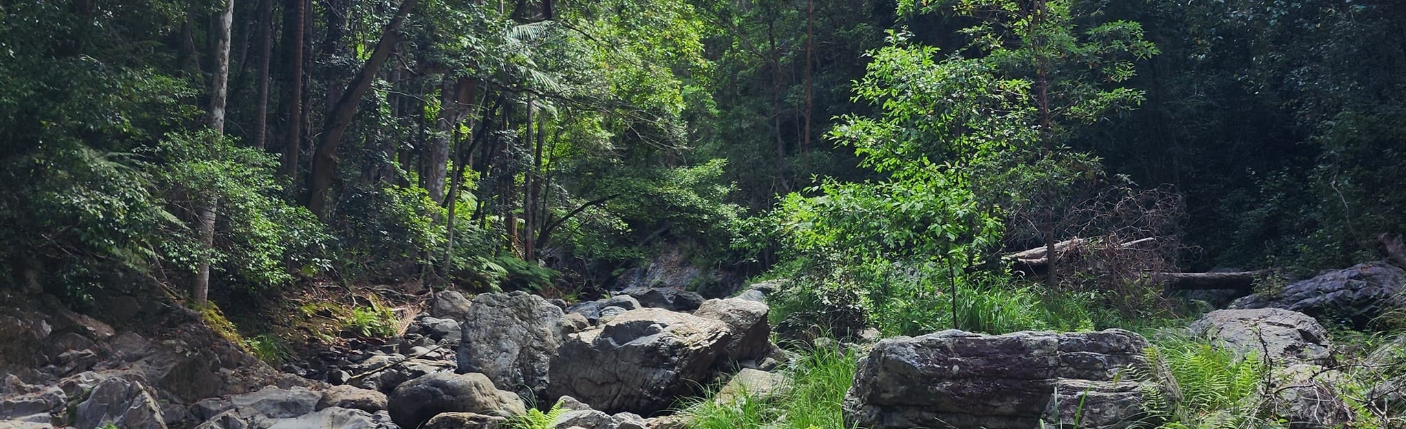 Northbrook Alternate Trailhead 102 Reviews, Map Queensland