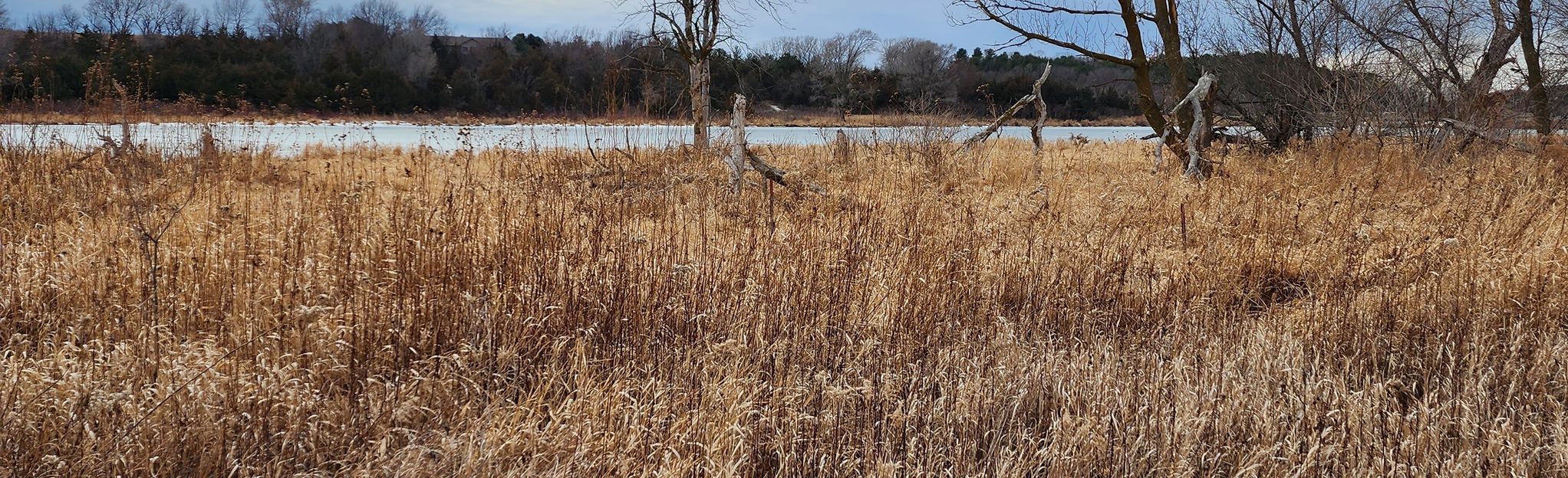 Prairie Rose State Park: Where Wildflowers Bloom and Adventures Unfold