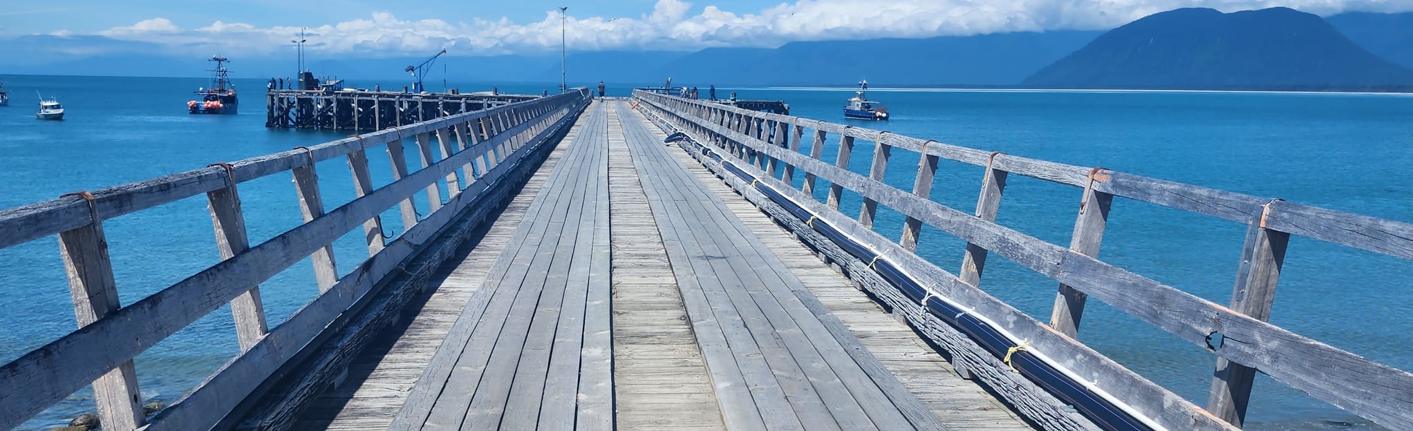 Haast to Jackson Bay West Coast, New Zealand AllTrails