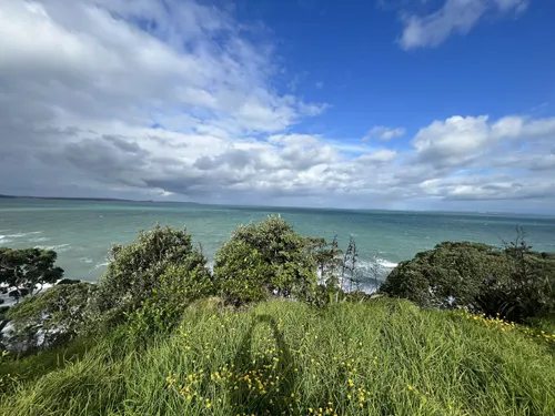 Long bay walking track sales