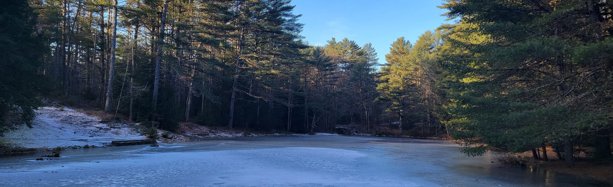 Pitch Pine Trail 18 Reviews, Map New Hampshire AllTrails