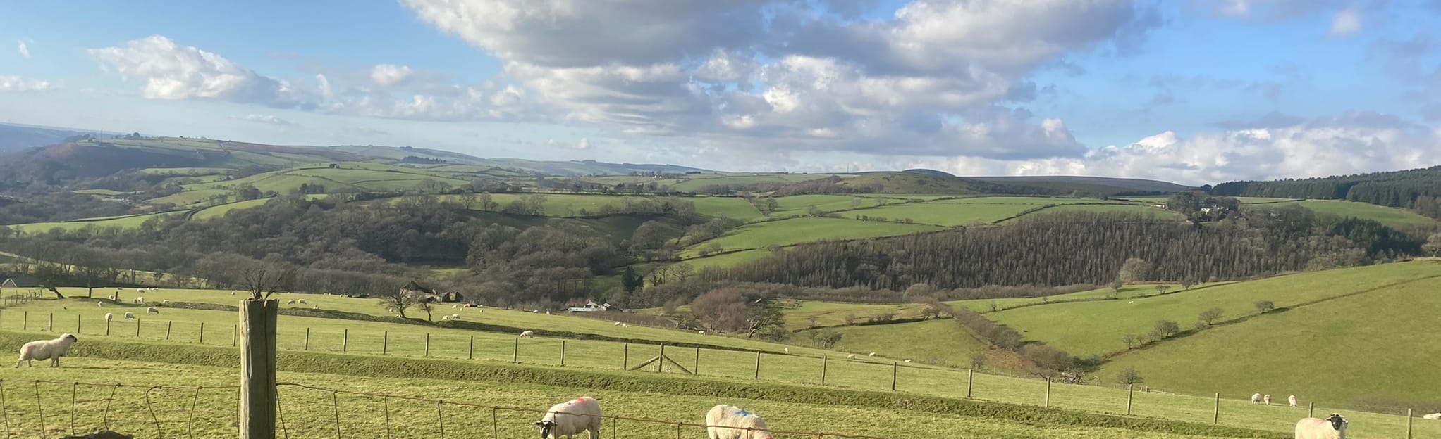 Glynogwr and Wind Farm Circular, Bridgend, Wales 10 Reviews, Map