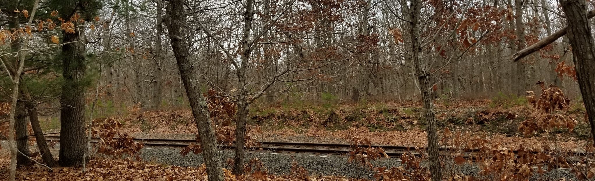 Laurel Lake Trail 205 Reviews, Map New York AllTrails