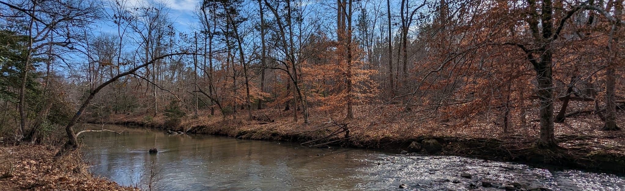 New Hope Creek Trail South Loop | Map, Guide - North Carolina | AllTrails