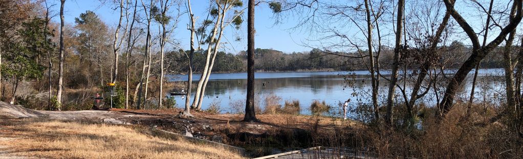 Langley Pond Loop Trail, South Carolina - 156 Reviews, Map
