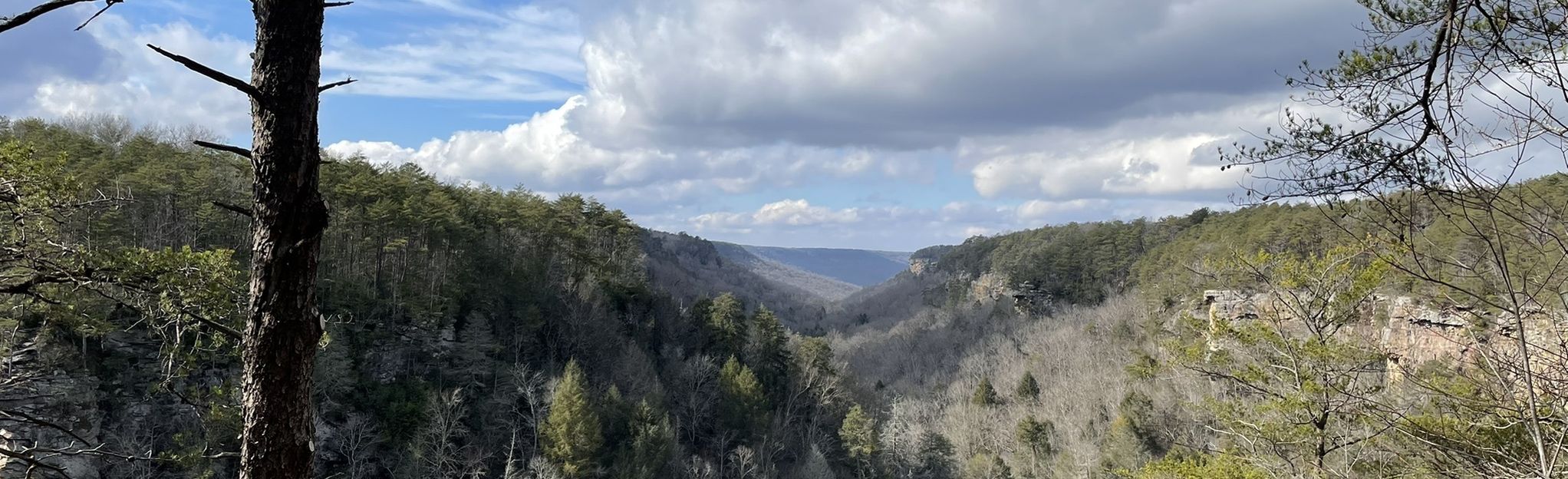 Savage Day Loop : 799 Reviews, Map - Tennessee | AllTrails