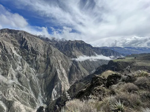 Arequipa : les 10 meilleures randonnées pour l'observation d'oiseaux