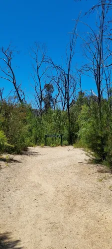 Croajingolong national park outlet walks