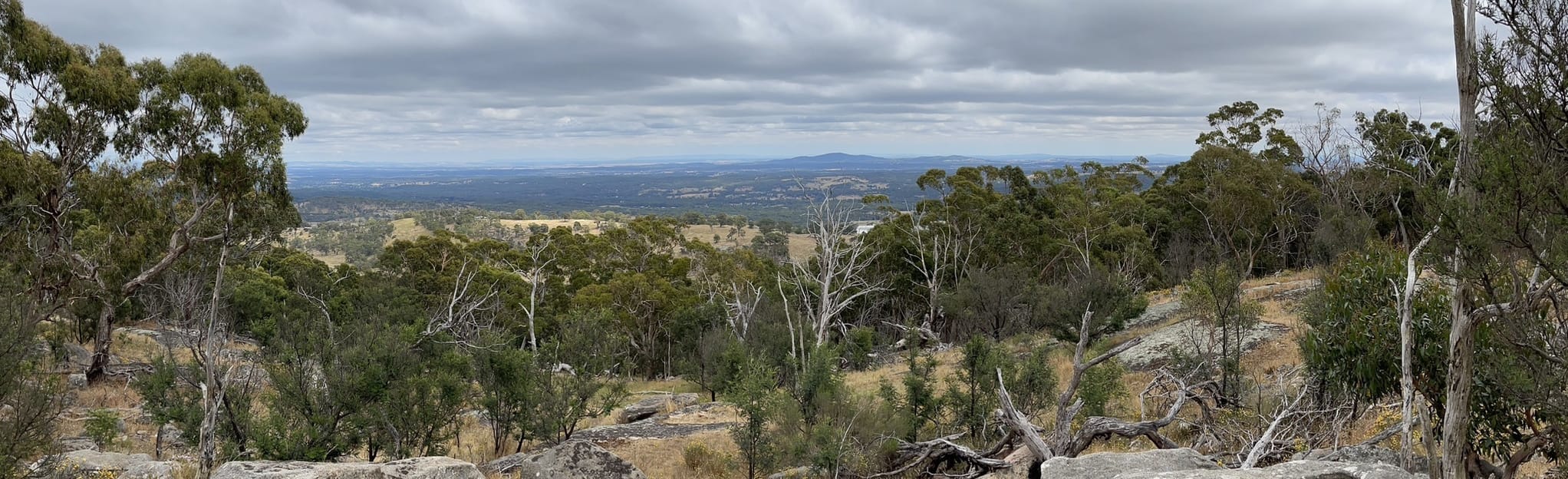 Mount Alexander Loop 425 foto Victoria, Australia AllTrails