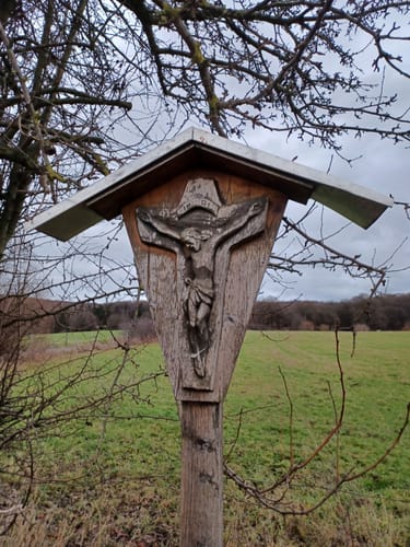 Niester Riesen P11 (Premiumwanderweg)