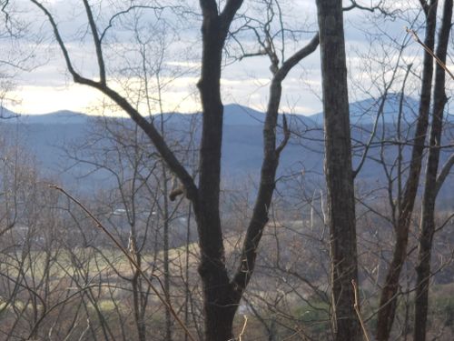 are dogs allowed on blue ridge parkway trails