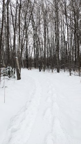 Hayes Lake: Minnesota's Hidden Gem for Outdoor Enthusiasts