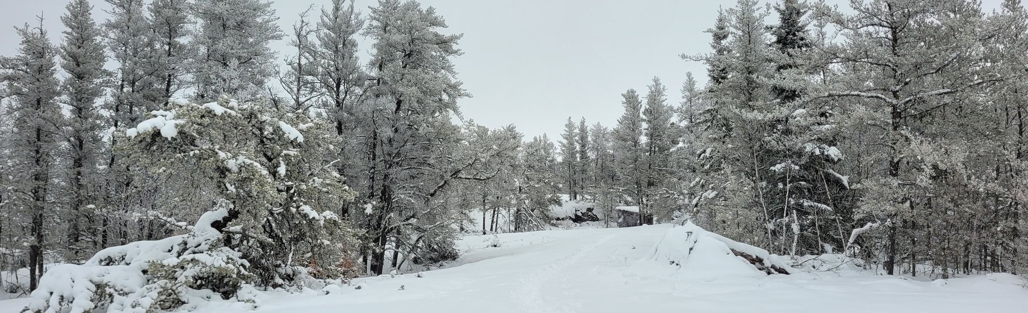 Jessica Lake Loop B, Manitoba, Canada - 39 Reviews, Map | AllTrails