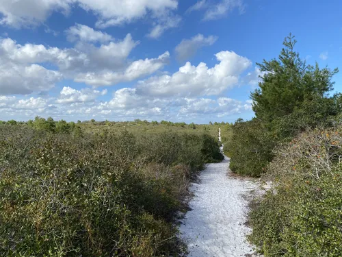 Jonathan dickinson state park mountain bike trail hot sale