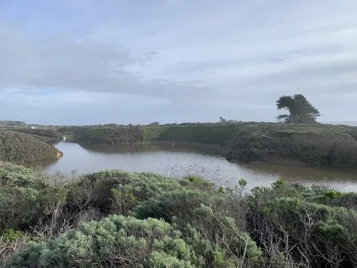 10 Best Hikes and Trails in Wilder - EyJidWNrZXQiOiJhc3NldHMuYWxsdHJhaWxzLmNvbSIsImtleSI6InVwbG9hZHMvcGhvdG8vaW1hZ2UvNTUzNjA1MTgvMmI5OWYyYjg4MzIwZjQ1YmJlZmEyZDQ3NmNhMzgxZjAuanBnIiwiZWRpdHMiOnsidG9Gb3JtYXQiOiJ3ZWJwIiwicmVzaXplIjp7IndpZHRoIjo1MDAsImhlaWdodCI6NTAwLCJmaXQiOiJpbnNpZGUifSwicm90YXRlIjpudWxsLCJqcGVnIjp7InRyZWxsaXNRdWFudGlzYXRpb24iOnRydWUsIm92ZXJzaG9vdERlcmluZ2luZyI6dHJ1ZSwib3B0aW1pc2VTY2FucyI6dHJ1ZSwicXVhbnRpc2F0aW9uVGFibGUiOjN9fX0=