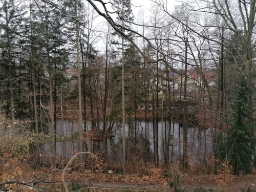 Um den Ziegenrücken bei Ulberndorf