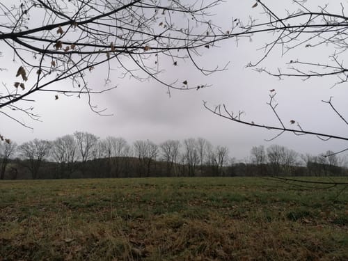 Um den Ziegenrücken bei Ulberndorf