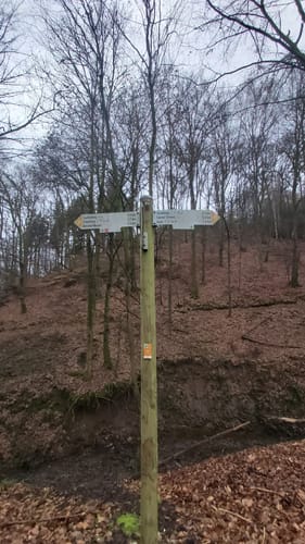 Rundweg RB1 (Ransbach)