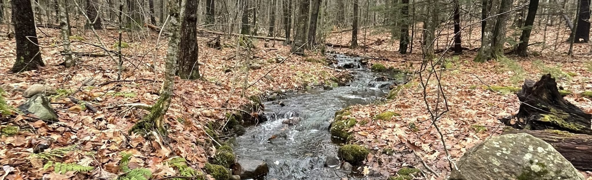 Conservation Commission Lands and Bow School Wildlife Loop Map, Guide