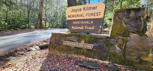 are dogs allowed in joyce kilmer memorial forest