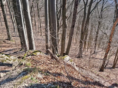 Hessische Schweiz P4 (Premiumwanderweg)