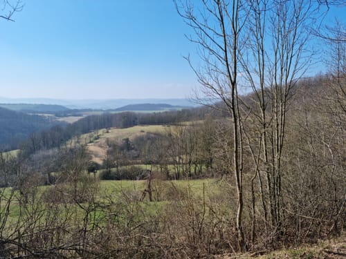 Hessische Schweiz P4 (Premiumwanderweg)