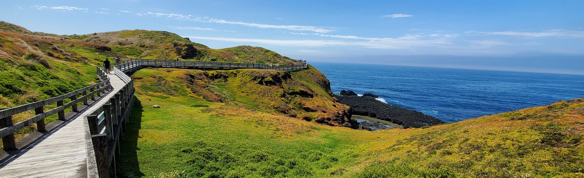 The Nobbies Blowhole and Seal Rocks Lookout, Victoria, Australia - 49 ...