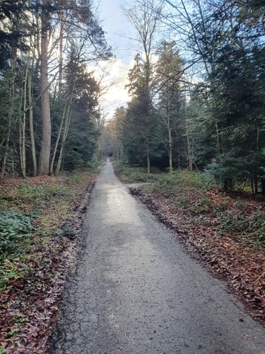 Zur Büchenbronner Höhe