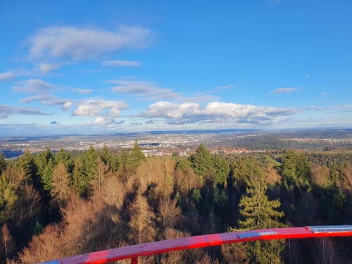 Zur Büchenbronner Höhe