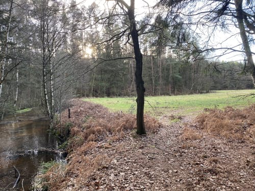 Im Reich der Heidschnucken (mittlere Tour)