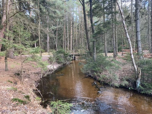 Im Reich der Heidschnucken (mittlere Tour)