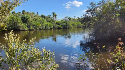 10 Best Trails and Hikes in Port St. Lucie