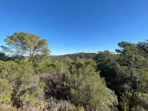 Best Walking Trails in Espai d inter s natural de les Gavarres