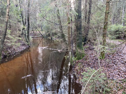 Im Reich der Heidschnucken (mittlere Tour)
