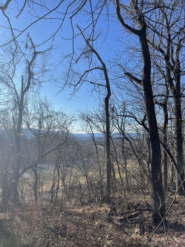 are dogs allowed on blue ridge parkway trails