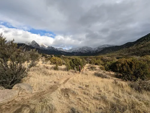 10 Best Hikes and Trails in Elena Gallegos Picnic Area/Albert G. Simms ...