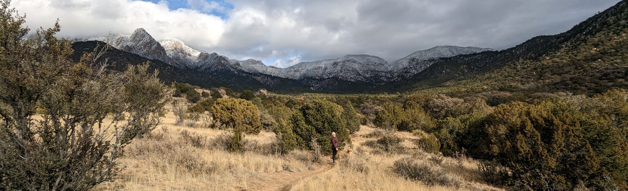 pino-outer-loop-new-mexico-160-reviews-map-alltrails