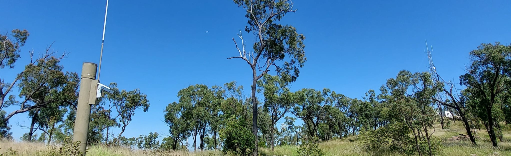 Blue Mountain Park from Black Butt Court, 16 Fotos - Queensland ...