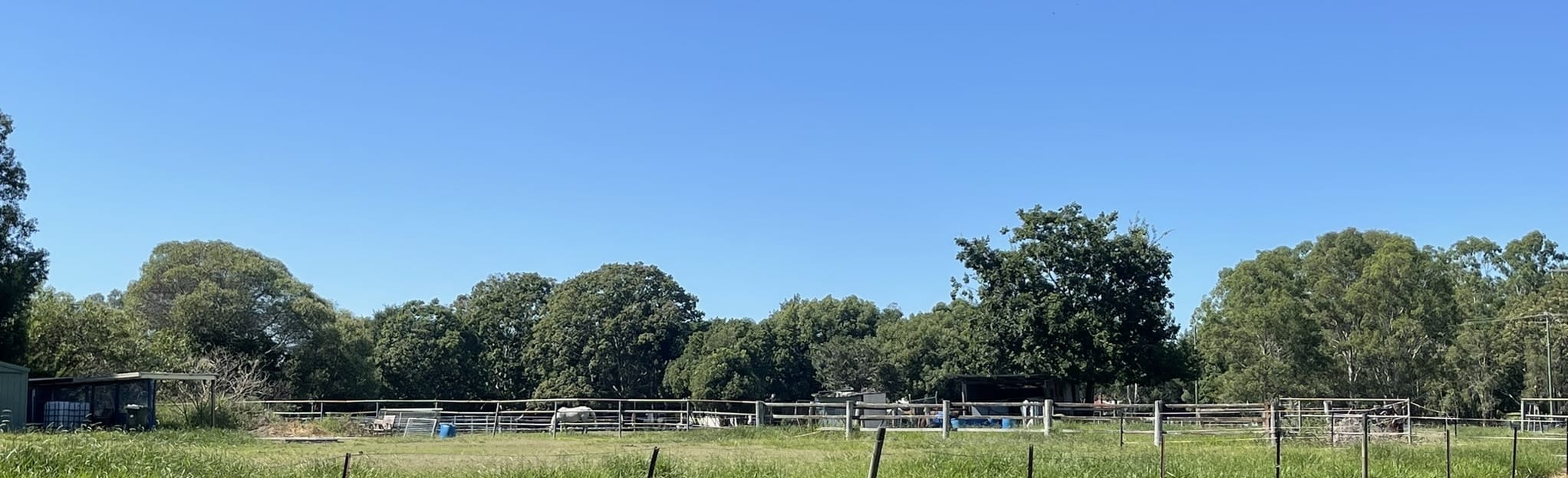 Cabbage Tree Creek Bikeway 62 photos Queensland, Australie AllTrails