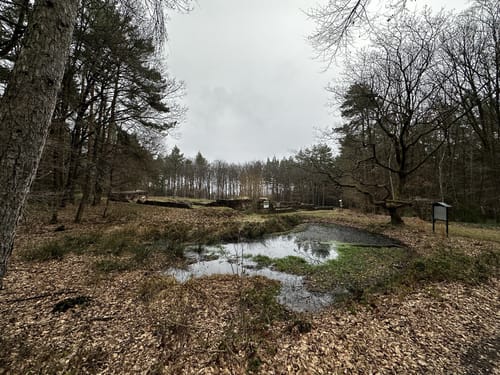 Bad Neuenahr - Tour 05 - Durch den Ramersbacher Wald