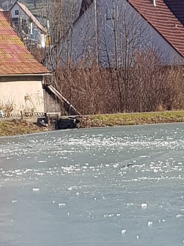 Bissingen an der Teck zum See