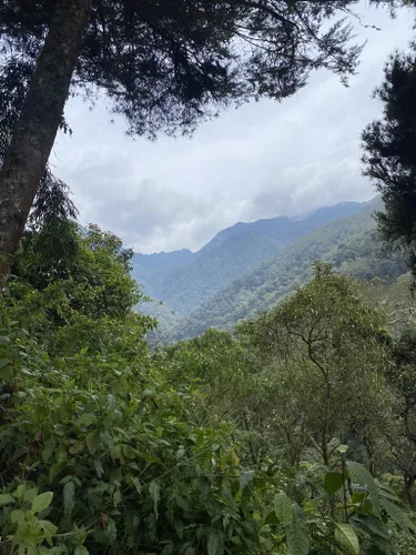 10 Best Trails and Hikes in Quindío