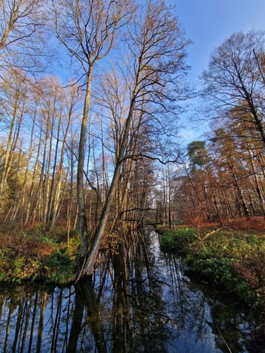 Bauersee - Mittelprendensee - Eiserbuder See