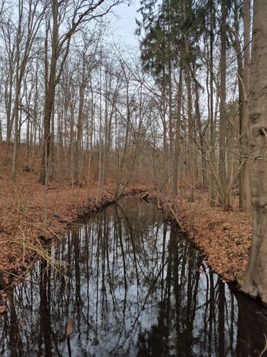Von Lobetal um den Hellsee
