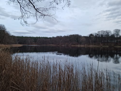 Von Lobetal um den Hellsee