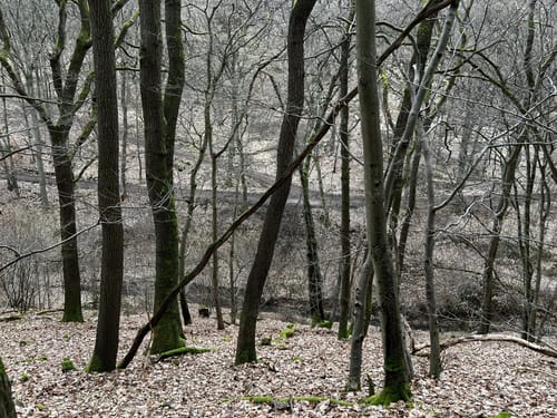 Himmelssteig Stephanshausen