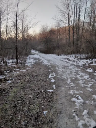 Wahlfield mountain outlet bike trail