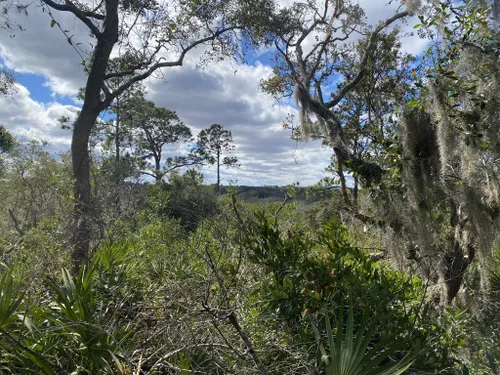 Beacon Hills Trilha da caminhada - Jacksonville, Flórida, EUA