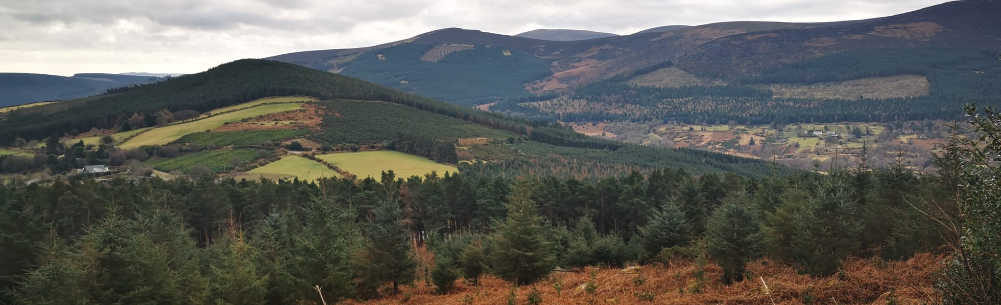 Wicklow Way: Prince William’s Seat - Knockree, County Dublin, Ireland ...
